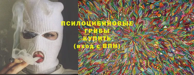 Псилоцибиновые грибы Psilocybine cubensis  Шуя 