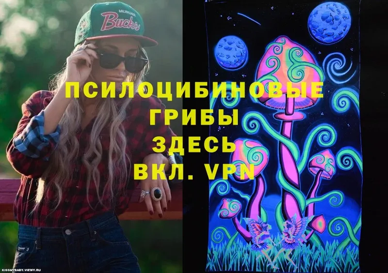 Псилоцибиновые грибы MAGIC MUSHROOMS Шуя